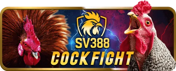 Hoàn trả t68bet win cao nhất thị trường
